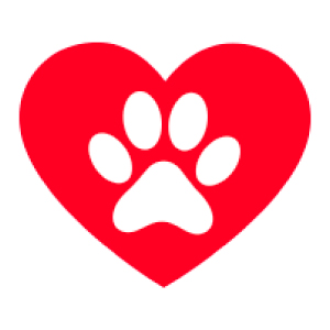pet friendly al camping il sole village in toscana